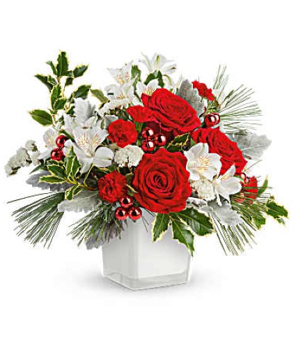 Festive Elegance Christmas