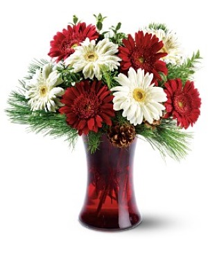 Festive Gerbera Vase Arrangement flowers under $50.00