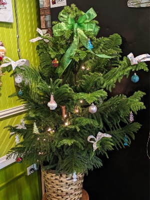 Festive Norfolk Pine Tree Christmas