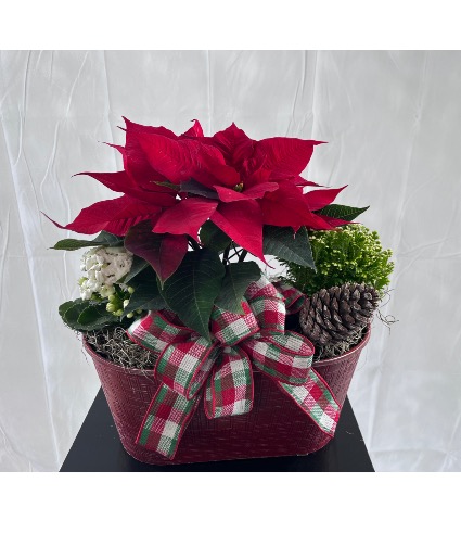 Festive Oval Planter 