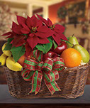 Festive Poinsettia & Fruit Basket