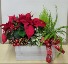 Festive Red Planter 