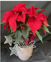 Festive Red Poinsettia  Floral 