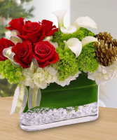 Festive Splendor Arrangement