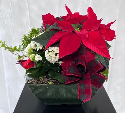 Festive Square planter 