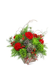 Festive Tidings Flower Arrangement