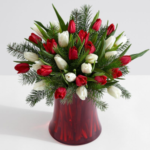 festive tulips in Oakville, ON | ANN'S FLOWER BOUTIQUE-Wedding & Event Florist festive tulips in Oakville, ON | ANN'S FLOWER BOUTIQUE-Wedding & Event Florist