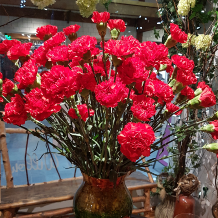FIELD OF CARNATIONS Carnations in Vase or Bouquet