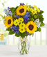 Field of Europe for Summer Cut Flowers