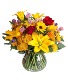 Field of Joy Arrangement