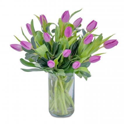 Field of Tulips Arrangement