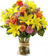 FIELDS OF EUROPE ARRANGEMENT