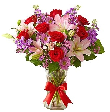 FIELDS OF EUROPE ARRANGEMENT