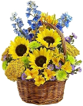 FIELDS OF EUROPE SUMMER BASKET