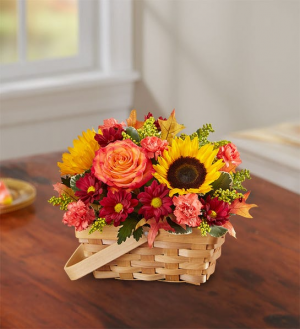 Fields of Europe Basket in Sunrise, FL | FLORIST24HRS.COM Fields of Europe Basket in Sunrise, FL | FLORIST24HRS.COM