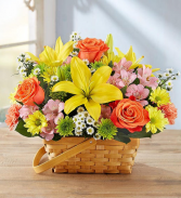 Fields of Europe Basket Everyday