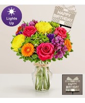Fields of Europe Celebration birthday Birthday