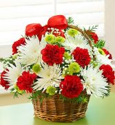 Fields of Europe Christmas Basket Christmas Flowers