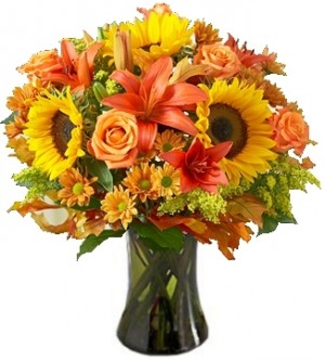 FIELDS OF EUROPE AUTUMN ARRANGEMENT in Germantown, MD | GENE'S FLORIST & GIFT BASKETS FIELDS OF EUROPE AUTUMN ARRANGEMENT in Germantown, MD | GENE'S FLORIST & GIFT BASKETS