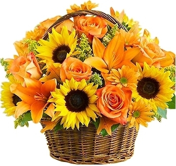 FIELDS OF EUROPE FOWERS BASKET