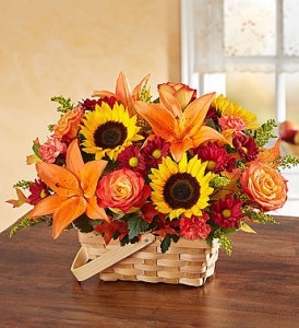 Fields of Europe Fall Basket in New Wilmington, PA | FLOWERS ON VINE Fields of Europe Fall Basket in New Wilmington, PA | FLOWERS ON VINE