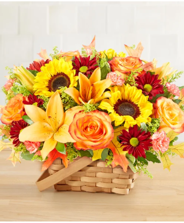 Fields of Europe Fall Basket  in Barre, VT | Emslie The Florist & Gifts