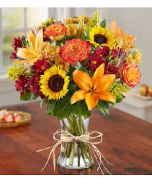 Fields of Europe (Fall) Fall Arrangement