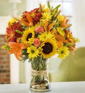 Fields of Europe Fall Fresh FallArrangement
