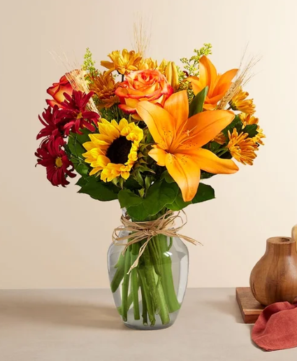 Fields of Europe Fall Med - 191110 