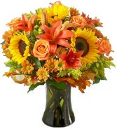 FIELDS OF EUROPE AUTUMN ARRANGEMENT