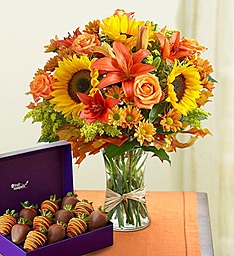 Fields of Europe flowers & Chocolate Strawberries Fall Flowers & Treats
