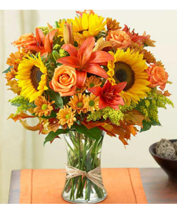 Fields of Europe  for Fall  in Kissimmee, FL | Amor Florist & Gift Baskets