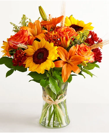 Fields of Europe for Fall  in Germantown, MD | Oaxaca Florist