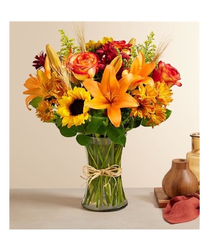 Fields of Europe for Fall 