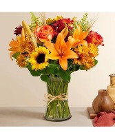 Fields of Europe  for Fall 