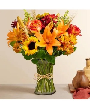 Fields of Europe  for Fall 