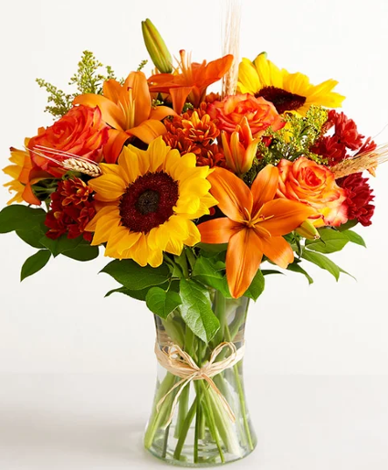 Fields of Europe for Fall 