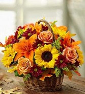 Fields of Europe™ for Fall Basket