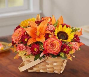 Fields of Europe™ for Fall Basket 