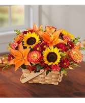 Fields Of Europe For Fall Basket 