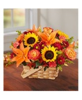 Fields of Europe for Fall Basket 