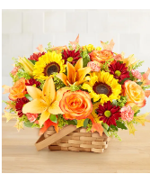 Fields of Europe for Fall Basket 