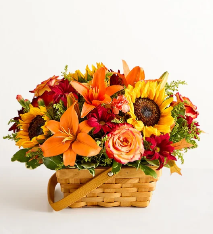 Fields of Europe for Fall Basket 