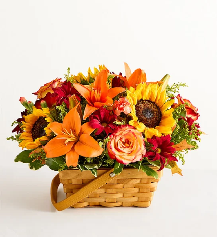 Fields of Europe for Fall Basket 