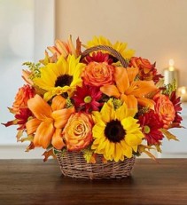 Fields of Europe™ for Fall Basket holiday