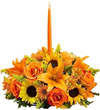 FIELDS OF EUROPE FOR FALL CENTERPIECE