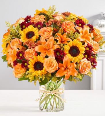 Fields Of Europe® For Fall LUXE  in Apex, NC | RTP Fresh Flowers