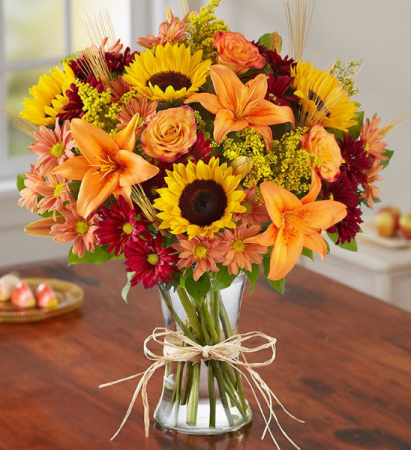 Fields Of Europe® For Fall