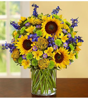 Fields of Europe™ for Summer Deluxe Arrangement in Croton On Hudson, NY | Cooke's Little Shoppe Of Flowers Fields of Europe™ for Summer Deluxe Arrangement in Croton On Hudson, NY | Cooke's Little Shoppe Of Flowers