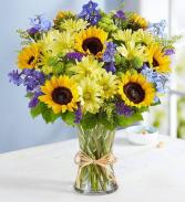 Fields of Europe for Summer MIX GARDEN FLOWERS